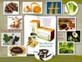 /album/galleria-fotografica/aloe-blossom-herbal-tea-jpg/